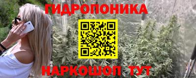 a pvp Свободный