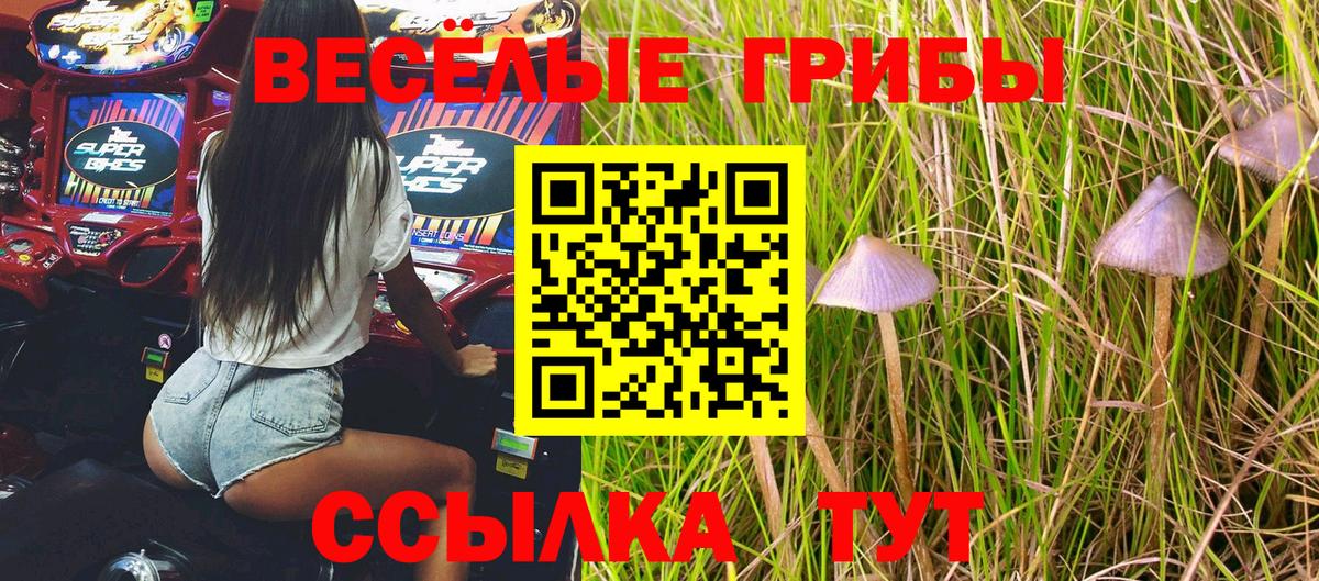 Галлюциногенные грибы GOLDEN TEACHER Партизанск